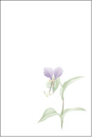 018