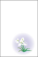 054